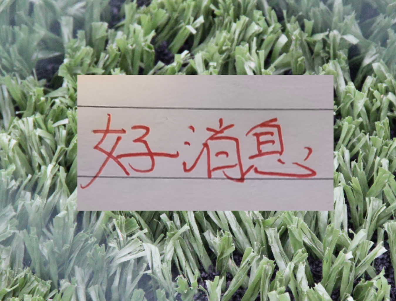 开云官网-也是好消息！申花单场独造三球王牌 很有可能第四轮复出